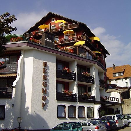 Panoramahotel Berghof Байерсброн Екстериор снимка